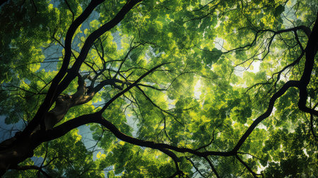 forest magical textureの写真素材