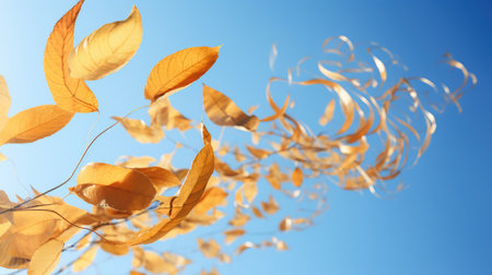 breeze flying fall leavesの素材