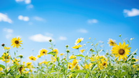 horizon blue green yellow backgroundの素材