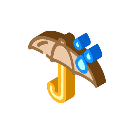 weatherproof isometric icon vector illustrationのイラスト素材