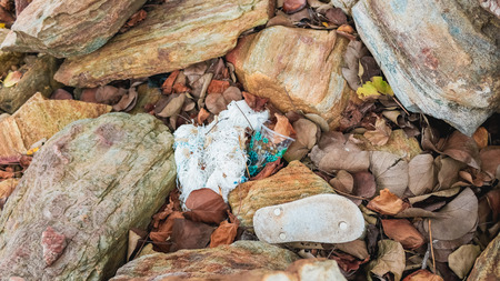 Plastic glass on beach rockの写真素材