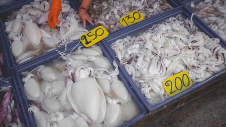 Fresh squids in seafood market.の写真素材