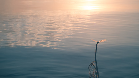 Smooth landscape of Dan Chang Damm, Thailand.の写真素材