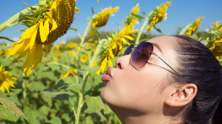 Asian woman try to kiss a sunflower.の写真素材
