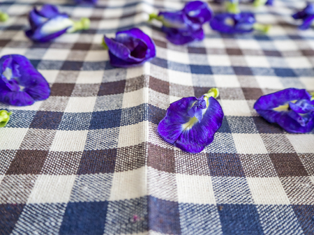 Butterfly Pea flowers fallen on crossed kitchen cloth.の写真素材