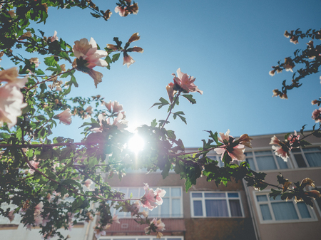 ZEYTINBURNU, ISTANBUL, TURKEYâ SEPTEMBER 17 2016: Zeytinburnu is a working-class neighbourhood, municipality and district on the European side of Ä°stanbul.のeditorial素材