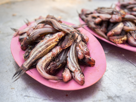 Fresh small water fish sell in local fresh market in Thailand.の写真素材