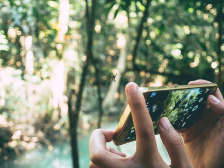 Taking nature photo in forrest with smartphone.の写真素材