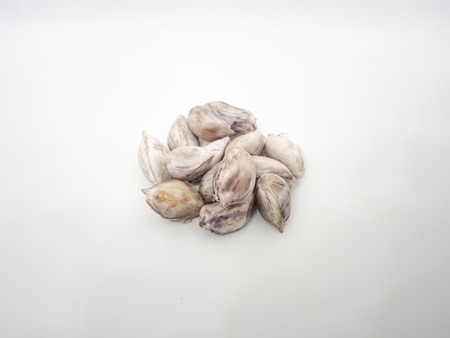 Boiled peeled peanut isolated on color background.の写真素材