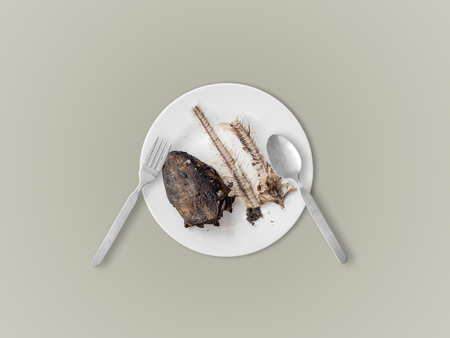 Catfish bones on white dish. Concept of hungry finish and death.の写真素材