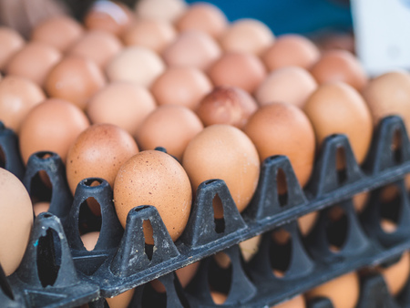 Fresh raw eggs in tray sell in Thai local street market.の写真素材