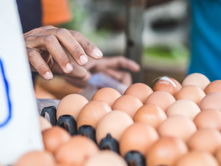 Fresh raw eggs in tray sell in Thai local street market.の写真素材