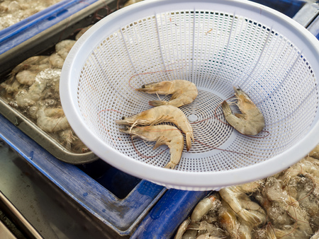Fresh Thai White Shrimps sell in local fresh market in Thailand. Also know as Pacific white Shrimp or Litopenaeus Vannamei.の写真素材