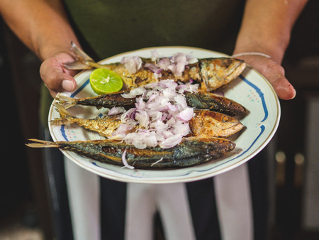 Thai traditional food Spicy deep fried Mackerelsの写真素材