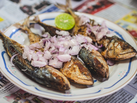 Thai traditional food Spicy deep fried Mackerelsの写真素材