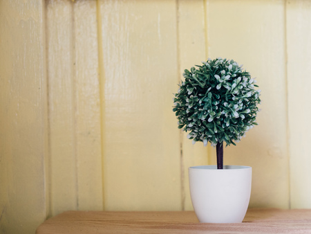Fake plastic plant in white pot for decoration.の写真素材