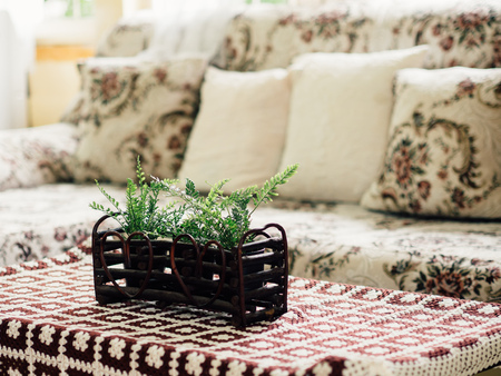 Fake plastic plants decorated on the table and sofa set in living room.の写真素材