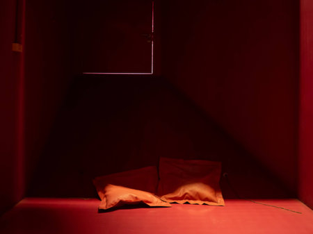 Abstract relax room in red color.の写真素材