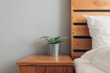 Relax decoration of stainless pot of small tree in bedroom.