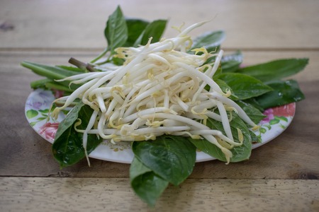 Bean sprouts as side dish of Thai noodle served on a plastic dish.の写真素材