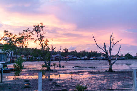 Pink and blue dusk sky of low tide beach in Thailand.の写真素材