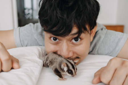 Happy Asian man is playing with his pet Sugar Glider while stay at home.の写真素材
