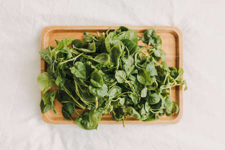 Green and fresh pile of Watercress served on wooden plate with white cloth background.の写真素材