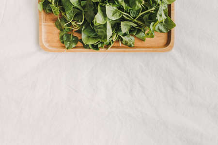 Green and fresh pile of Watercress served on wooden plate with white cloth background.の写真素材