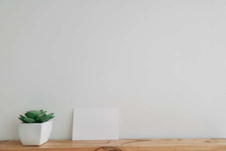 Empty postcard paper mockup with cactus pot on white wall.