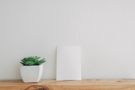 Empty postcard paper mockup with cactus pot on white wall.の写真素材