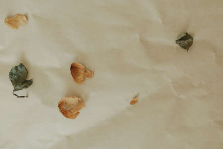 Background decorated with dried yellow rose petal and leaf on brown craft paper.