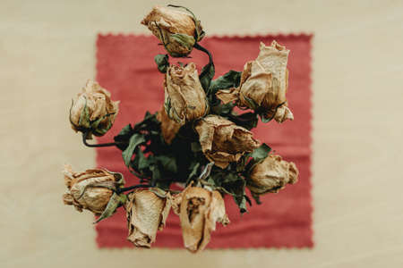 Close up of dried yellow rose flowers on the bar at the window.の写真素材