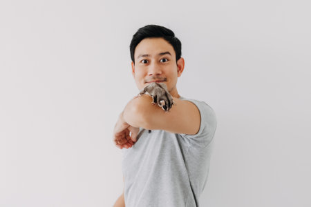 Cute little sugar glider pet hold on the asian man owner isolated on white.の写真素材