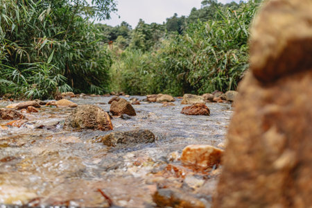 Nature river stream of tropical forrest in Asia.の写真素材