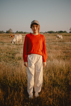 Asian woman in the red sweater stands on the grass field with cows and cattle at sunset for the sightseeing.の写真素材