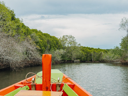 Orange boat heading into a tranquil river surrounded by tropical mangrove trees