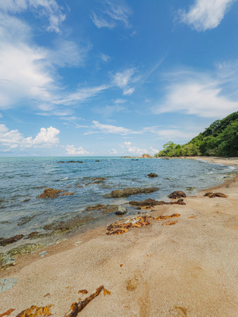 Clear ocean water meeting rocky coast under bright sunny day
