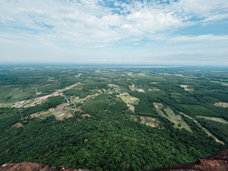 Overhead view of forest, hills, and sky with scattered cloud coverの写真素材