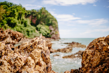 Close-up of jagged rocks by the sea surrounded by plants under sunny skyの写真素材