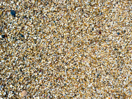 Natural beach texture with broken shell fragments and small stonesの写真素材