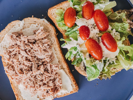 tuna and veggie toast plated together, nutritionist meal prep vibe with balanced protein and greens, portion control and crunchyの写真素材