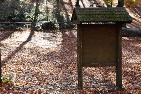 wooden signboard in autumn parkの写真素材