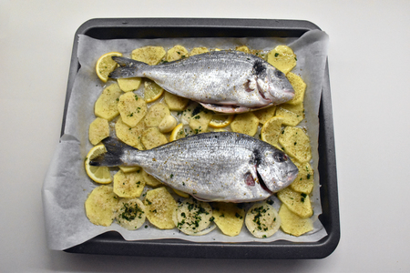 Two fish with potatoesの写真素材