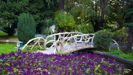 wooden bridgeの写真素材