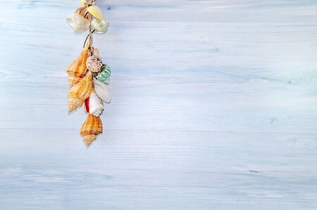 Seashells and sand on wooden boardの写真素材