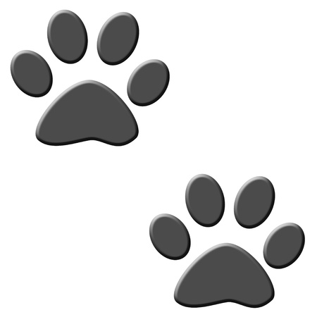 Cat printsの写真素材