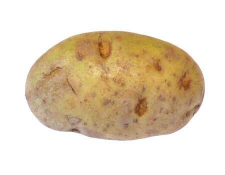 Whole raw potato photoの写真素材