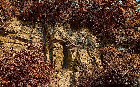 Rock close up. Fall season landscape with yellow treesの写真素材