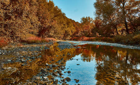 Creek close up. Autumn season. Fall landscape with sky reflectionの写真素材