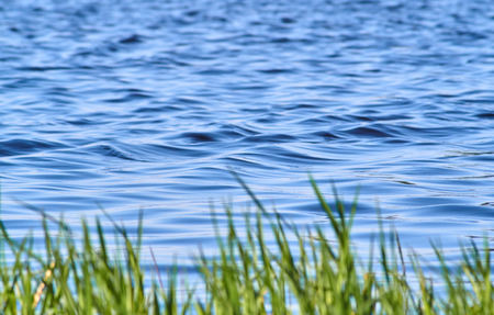 Blue waves and blured green grass nature backgroundの写真素材